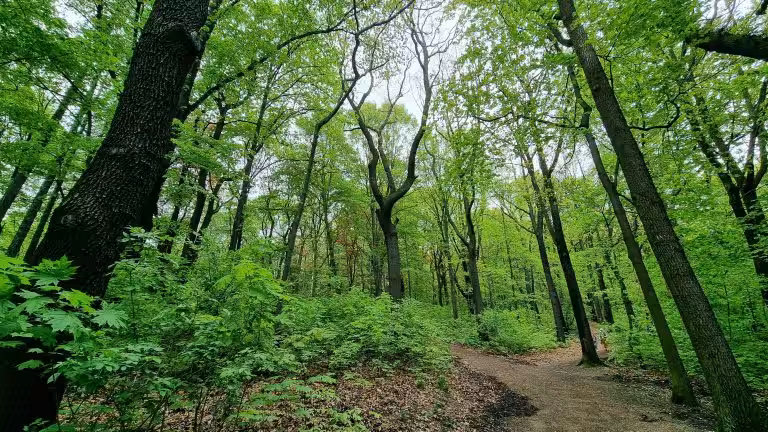 Park im. Jana III Sobieskiego w Wałbrzychu